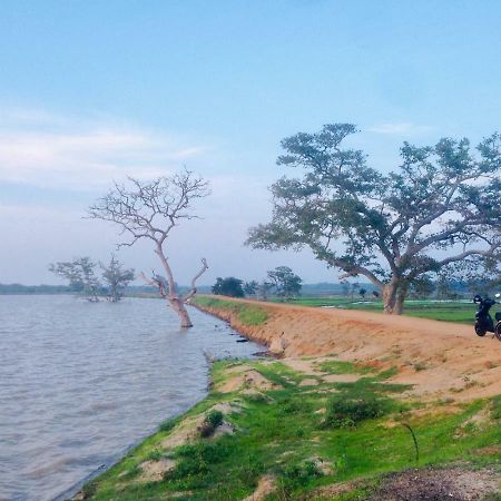 Utopia Arugambay آروغام المظهر الخارجي الصورة